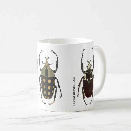 Goliath mok (Voorkant rechts)