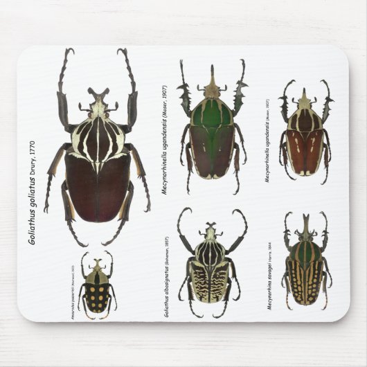 Goliath mousepad muismat (Voorkant)