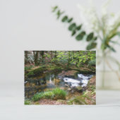 Golitha Herfst Fowey Cornwall England Briefkaart (Staand voorkant)