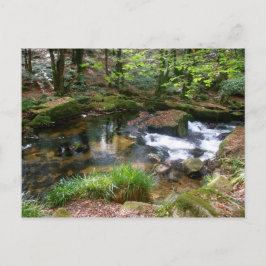 Golitha Herfst Fowey Cornwall England Briefkaart