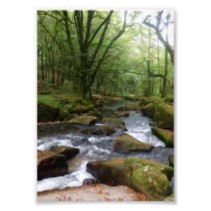 Golitha Herfst Fowey Cornwall England Foto Afdruk