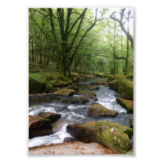 Golitha Herfst Fowey Cornwall England Foto Afdruk (Voorkant)