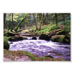 Golitha Herfst Fowey Cornwall England Foto Afdruk