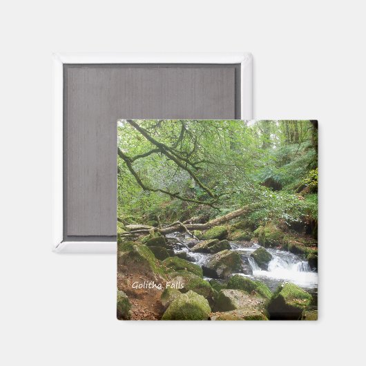 Golitha Herfst Fowey Cornwall England Magneet (Voorkant / Achterkant)