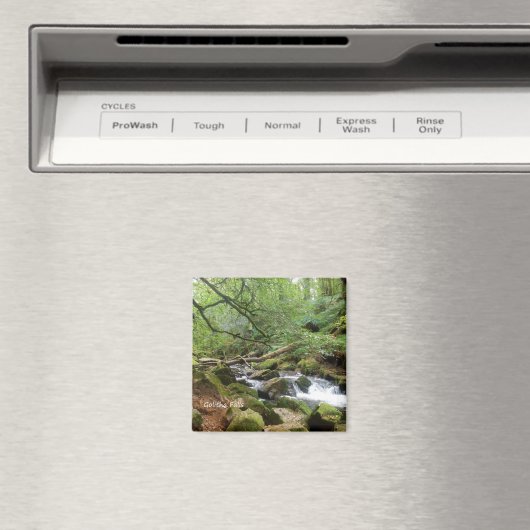 Golitha Herfst Fowey Cornwall England Magneet (Insitu (Vaatwasser))