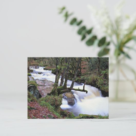 Golitha Herfsten, Cornwall, Engeland bij de Cornis Briefkaart (Staand voorkant)