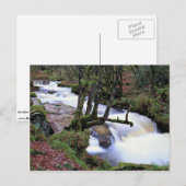 Golitha Herfsten, Cornwall, Engeland bij de Cornis Briefkaart (Voorkant / Achterkant)