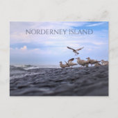 Golls Gathering, Noord-Zee, Norderney, Oost-Frisia Briefkaart (Voorkant)