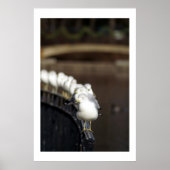 Golls in lijn poster (Voorkant)