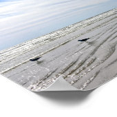 Golls op een Galveston Island Beach, Texas Poster (Hoek)