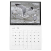 Golls van Lake Erie Wall Calendar Kalender (Mar 2026)