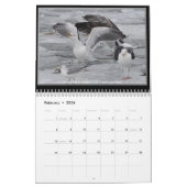 Golls van Lake Erie Wall Calendar Kalender (Feb 2026)