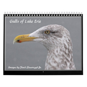 Golls van Lake Erie Wall Calendar Kalender
