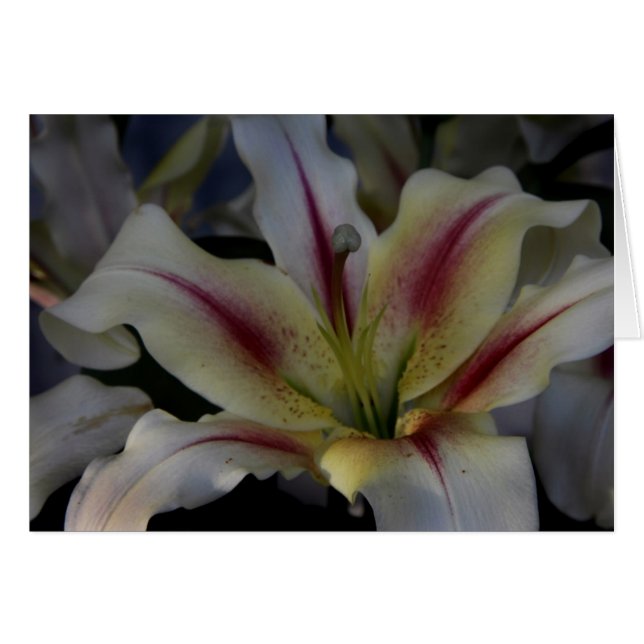 Golven (Voorkant Horizontaal)