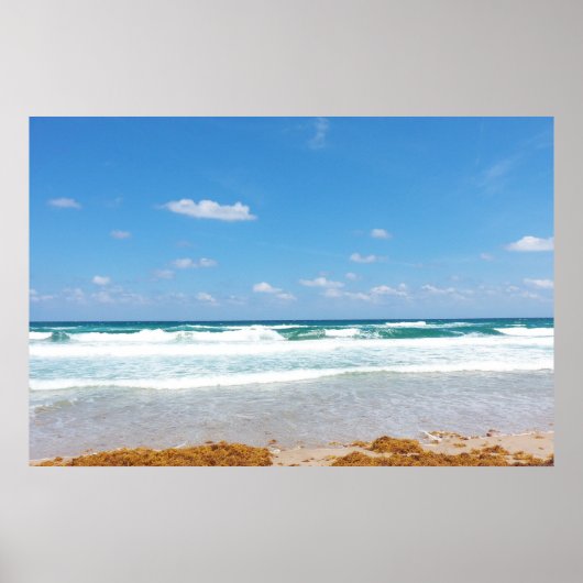 Golven brengen zeewier binnen poster (Voorkant)