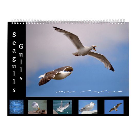 Golven en zeegarenden, kalendermaand 12 kalender (Hoes)