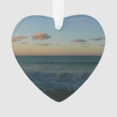 Golven kruipen in het Zonnestrand Landschap Ornament (voorkant)