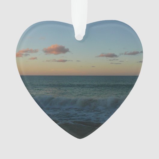 Golven kruipen in het Zonnestrand Landschap Ornament (voorkant)