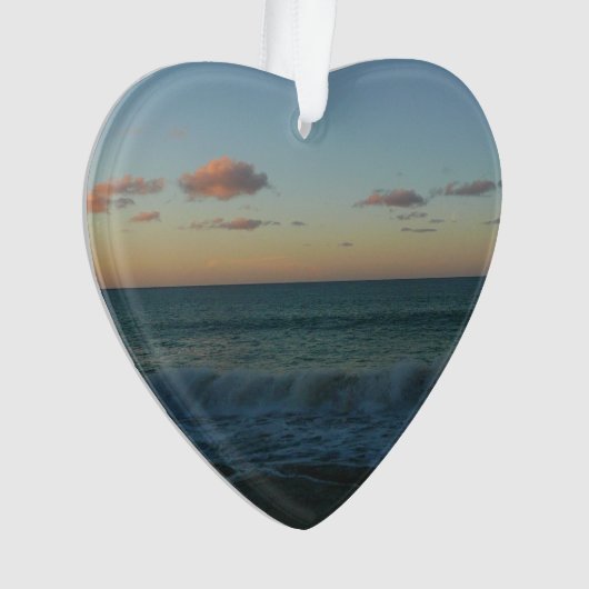 Golven kruipen in het Zonnestrand Landschap Ornament (voorkant)