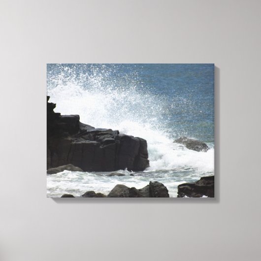 Golven kruipen op Rocks Canvas Afdruk (Voorkant)