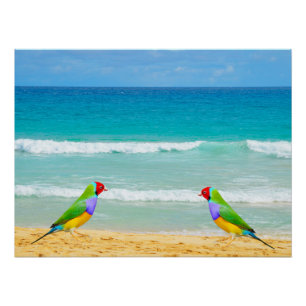 Golven, lucht en surven op Boa Vista strand Perfect Poster