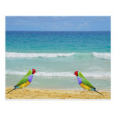 Golven, lucht en surven op Boa Vista strand Perfect Poster (Voorkant)