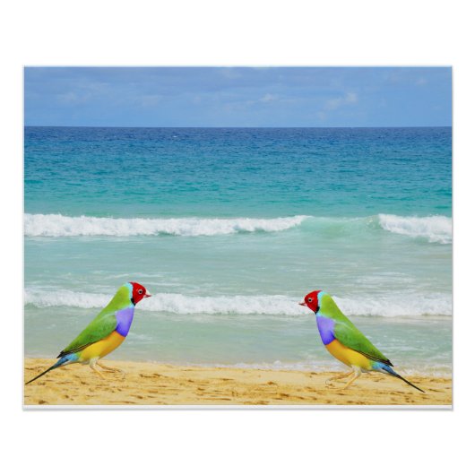 Golven, lucht en surven op Boa Vista strand Perfect Poster (Voorkant)