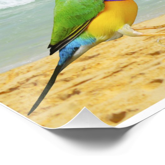 Golven, lucht en surven op Boa Vista strand Perfect Poster (Hoek)