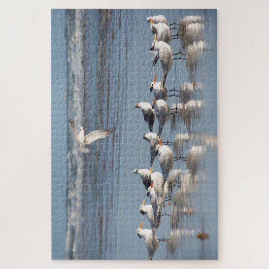 Golven op het strand van Florida Legpuzzel (Verticaal)