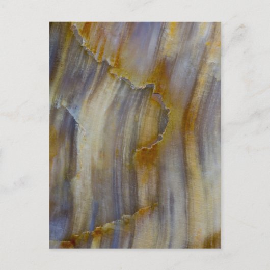 Golvend versteend hout briefkaart (Voorkant)