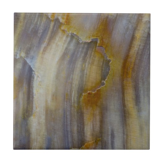 Golvend versteend hout tegeltje (Voorkant)