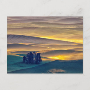 Golvende tarweheuvels bij zonsopgang   WA Briefkaart