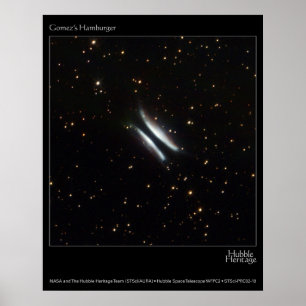 Gomez's hamburgers Hubble Telescope Foto Poster