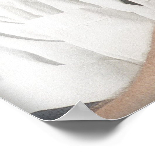 Gondolier, Venetië, Italië Poster (Hoek)