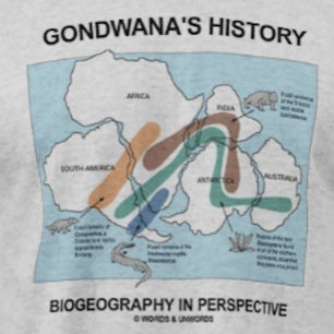 Gondwana's geschiedenis biogeografie in perspectie t-shirt