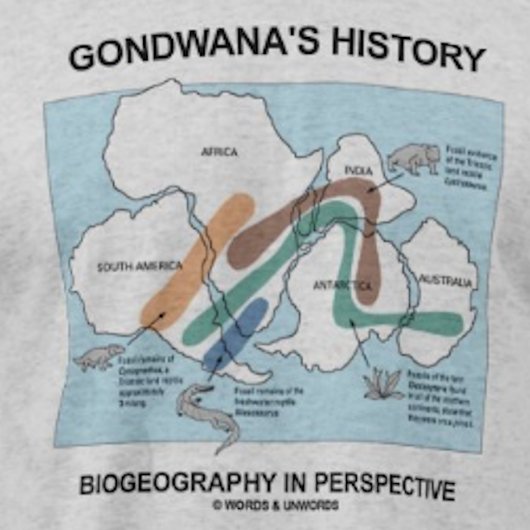 Gondwana's geschiedenis biogeografie in perspectie t-shirt