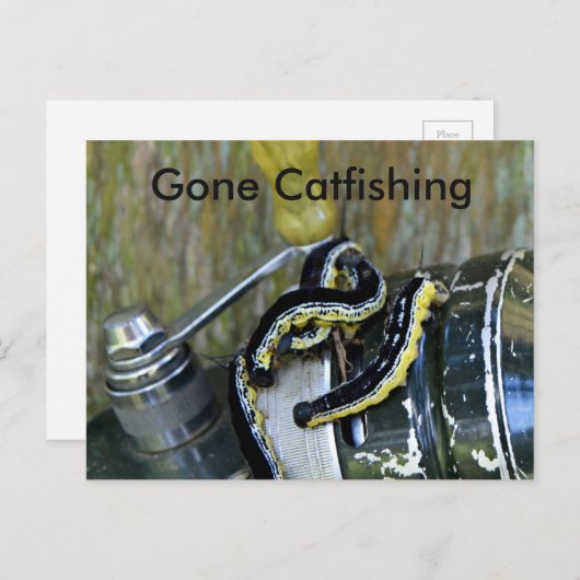 Gone Catfish Catalpa Worms Old Reel Briefkaart (Voorkant / Achterkant)