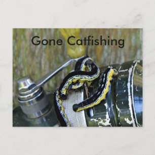 Gone Catfish Catalpa Worms Old Reel Briefkaart
