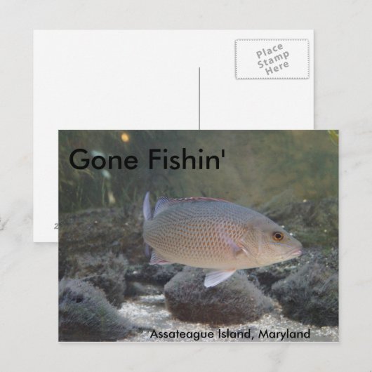 Gone Fishin' op Assateague Island, MD Briefkaart (Voorkant / Achterkant)