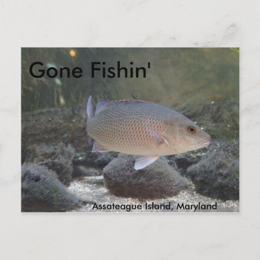 Gone Fishin' op Assateague Island, MD Briefkaart (Voorkant)