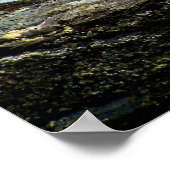 Gone Gevist Poster (Hoek)