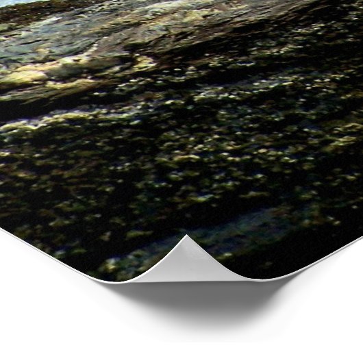 Gone Gevist Poster (Hoek)