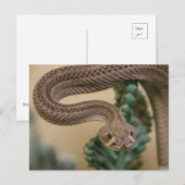 Gone krijgt Yea! Briefkaart (Voorkant / Achterkant)