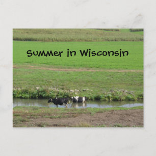 Gone Swimmin' Briefkaart