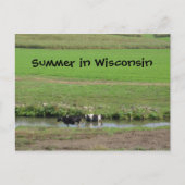 Gone Swimmin' Briefkaart (Voorkant)