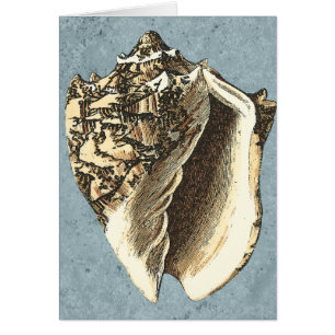 Gonespoelbare betegelschil