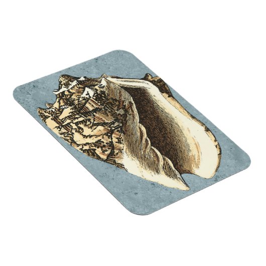 Gonespoelbare betegelschil magneet (Rechterzijde)