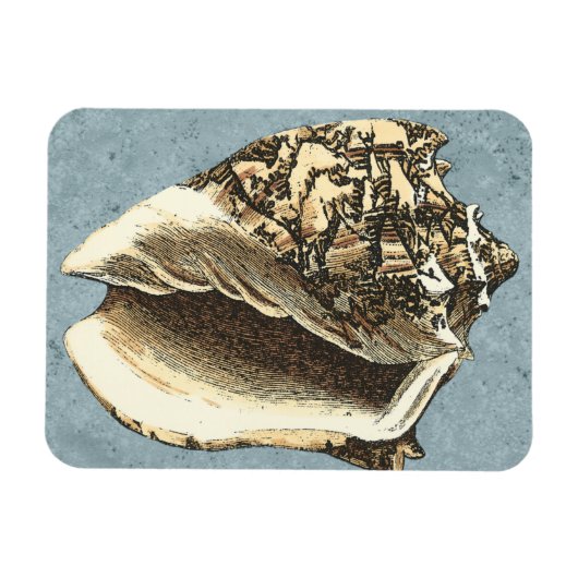 Gonespoelbare betegelschil magneet (Horizontaal)