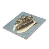 Gonespoelbare betegelschil tegeltje (Zijkant)