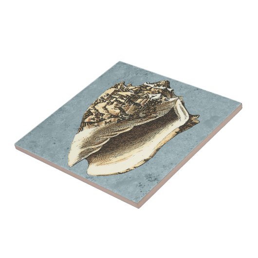 Gonespoelbare betegelschil tegeltje (Zijkant)